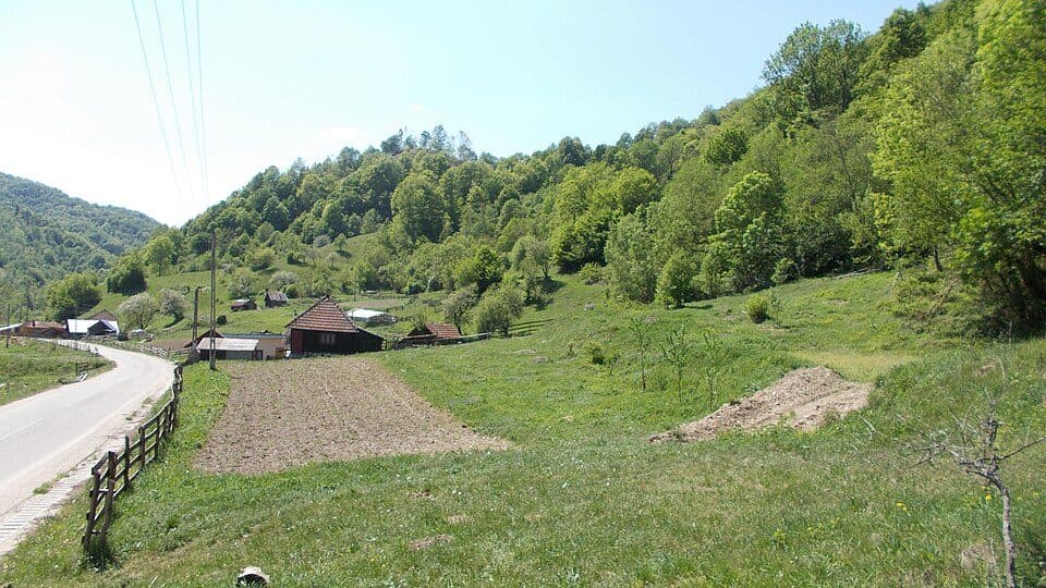 Gura Bordului - Negoiu - Băuțar