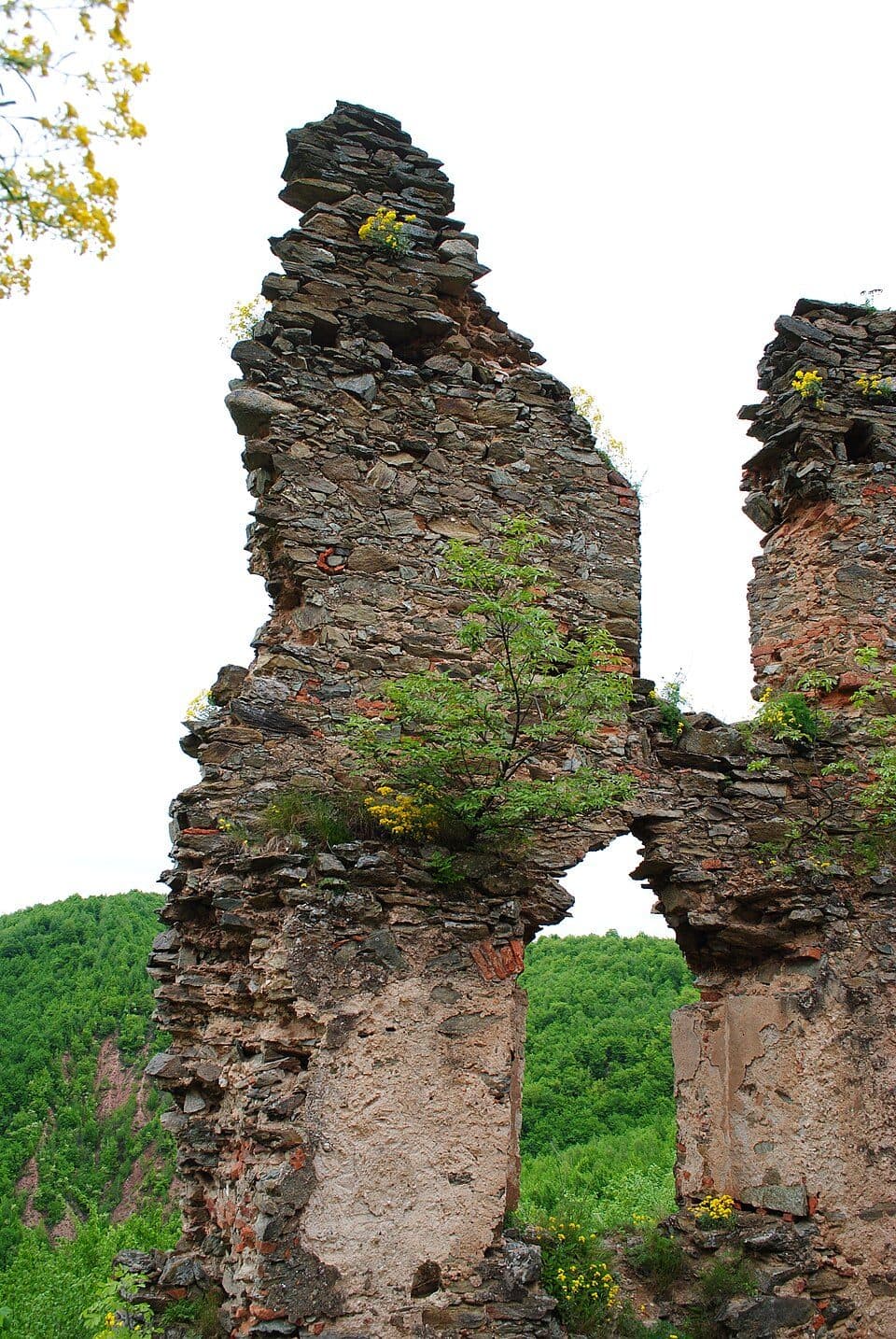 Kolcvár — 3. fotó