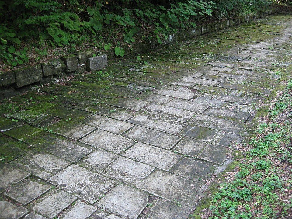 Podul Gerosu / Valea Grădiștea - Cetatea Fețele Albe - Valea Albă