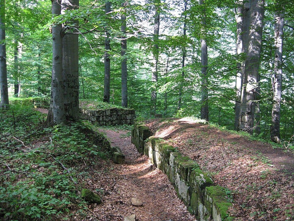 Costești - Sarmizegetusa Regia - Vf. Godeanu