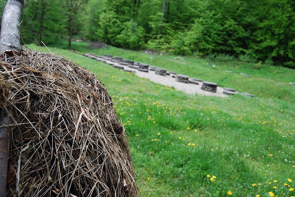 Costești - Sarmizegetusa Regia - Vf. Godeanu