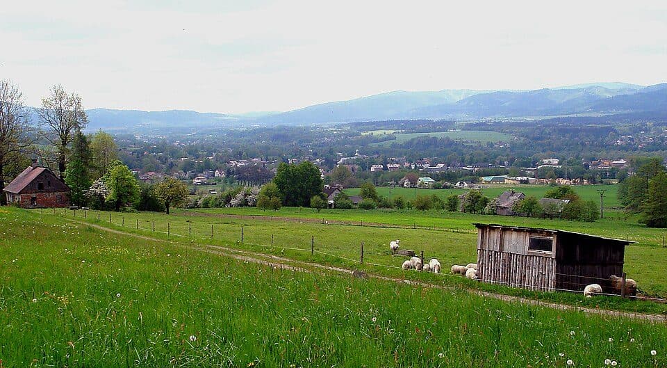 [Z] Bystřice - Kozinec