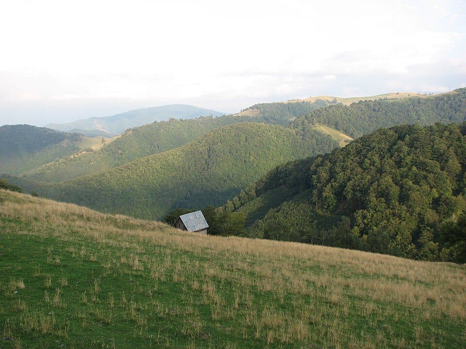 Păltiniș - Poiana Găujoara - Poiana Muncel - Stație Telescaun - Păltiniș