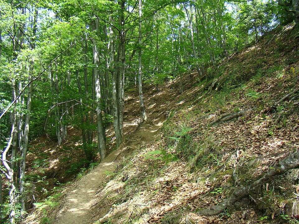 Pietreni - Cheile Costești - Izvorul Priboiului - Valea Prislop - Plaiul Netedu - Vârful Netedu – Vârful Lespezi - Vârful Govora - Șaua Zmeuret