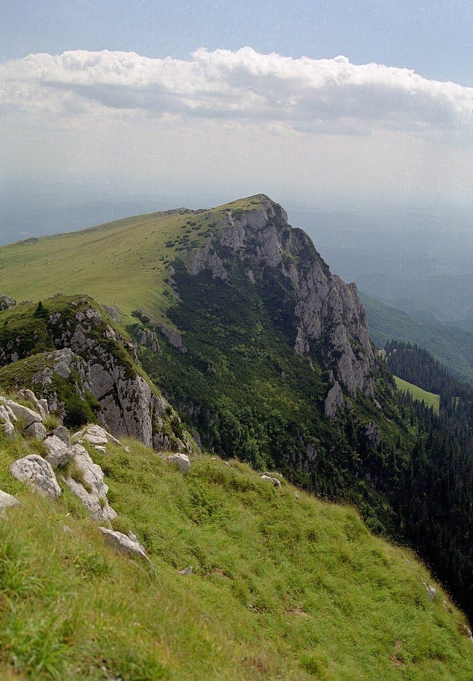 Pietreni - Cheile Costești - Izvorul Priboiului - Valea Prislop - Plaiul Netedu - Vârful Netedu – Vârful Lespezi - Vârful Govora - Șaua Zmeuret