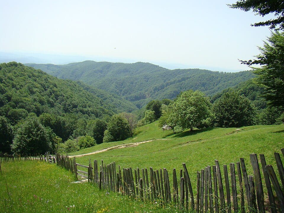 Pietreni - Valea Pârâului Sec - Poiana Scărișoara - Muntele Cacova - La Troiță - Poiana de Piatră - Poiana Fața Piscului - Curmătura Comarnice - Cabana Cheia