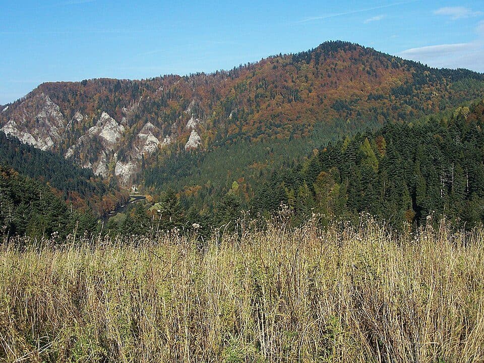 Krościenko nad Dunajcem - Przełęcz Sosnów