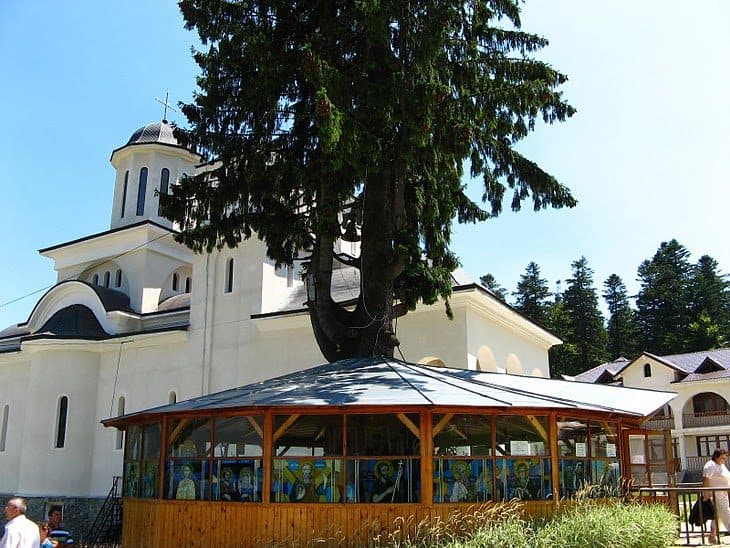 Bușteni - Cabana Poiana Izvoarelor - Cabana Omu