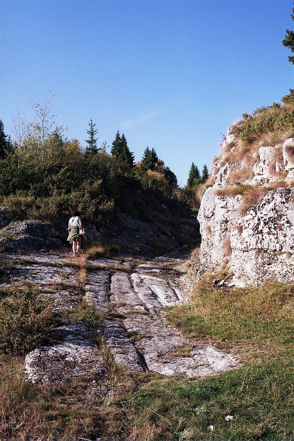 Podu Dâmboviței - Curmătura Ghimbavului - Canton Forestier Andolia