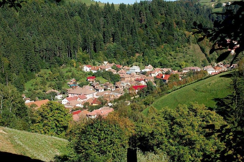 Poiana Mărului (gmina) — zdjęcie 1