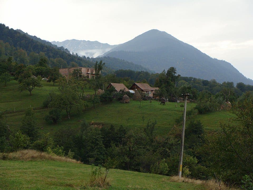 Bran - Poiana Gaura - Cabana Omu