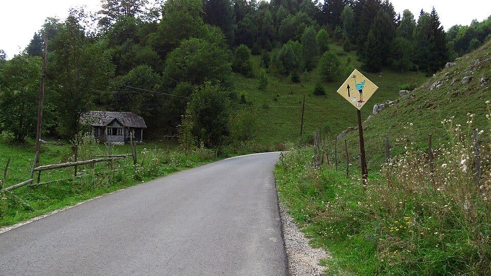 Fundata - Vârful Bucșa - Cabana Padina