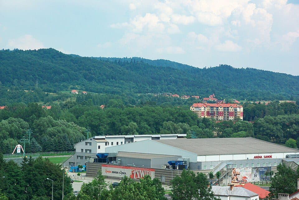 Sanok - Chryszczata