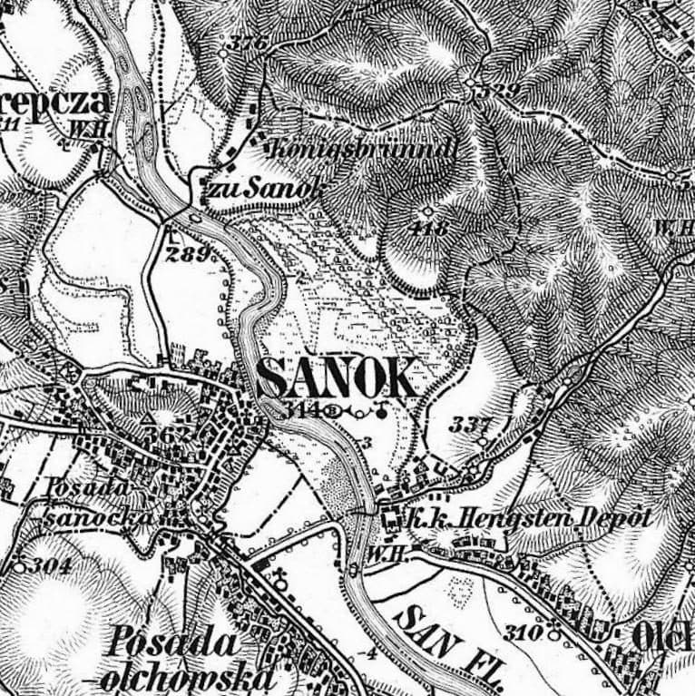 Sanok - Chryszczata
