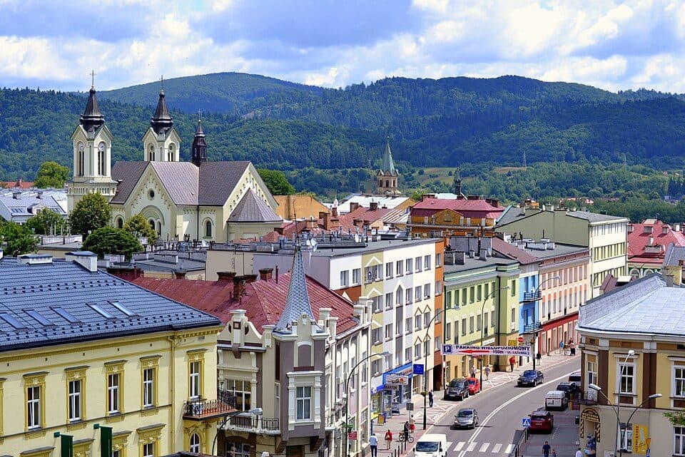 Sanok - Chryszczata