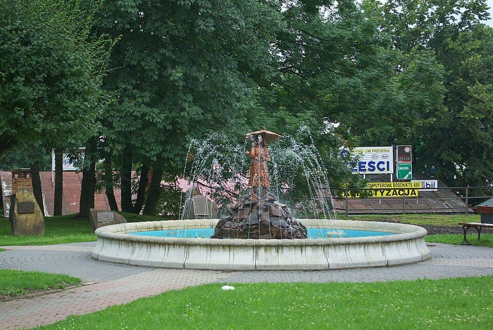 Sanok - Chryszczata