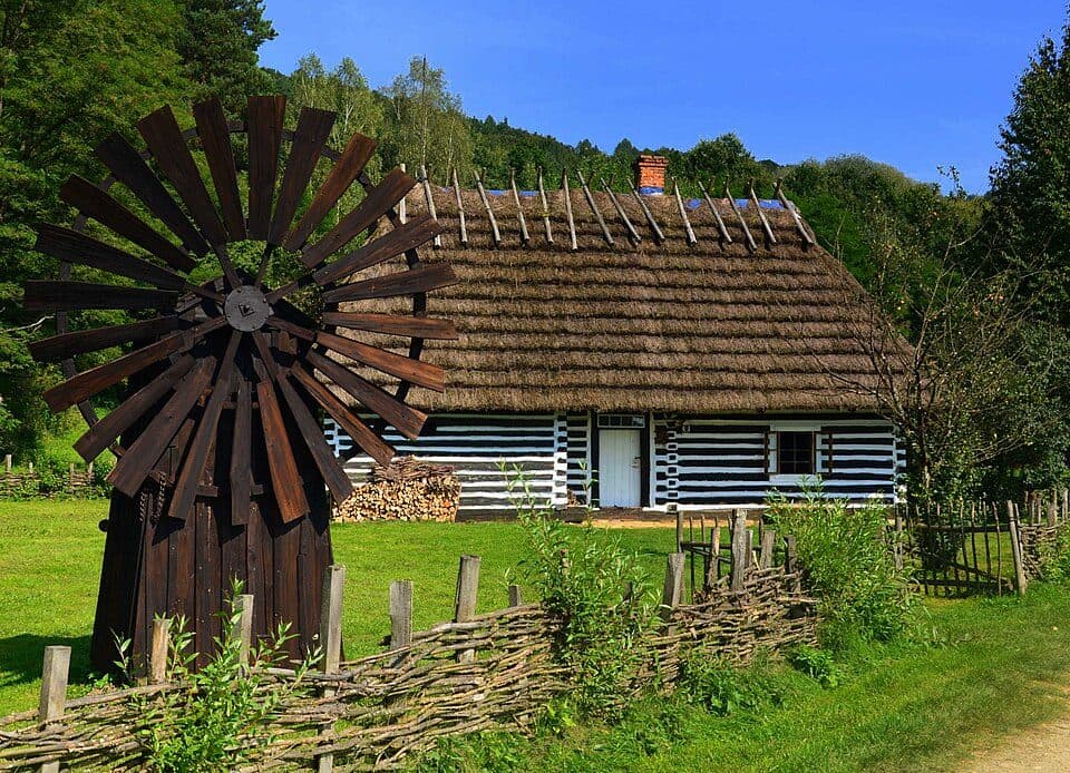 Sanok - Chryszczata
