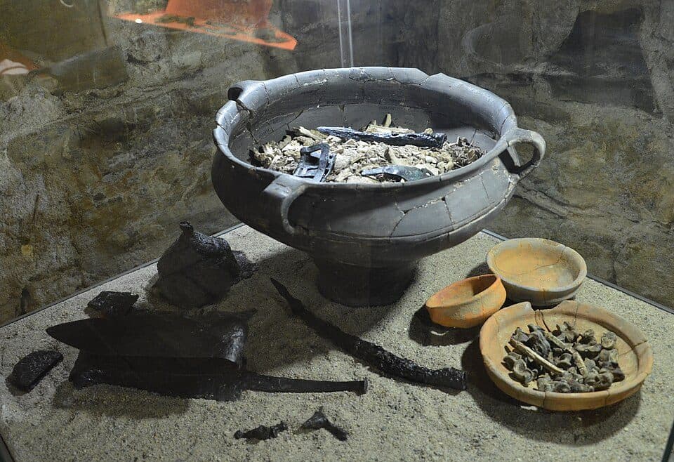 Sanok - Chryszczata