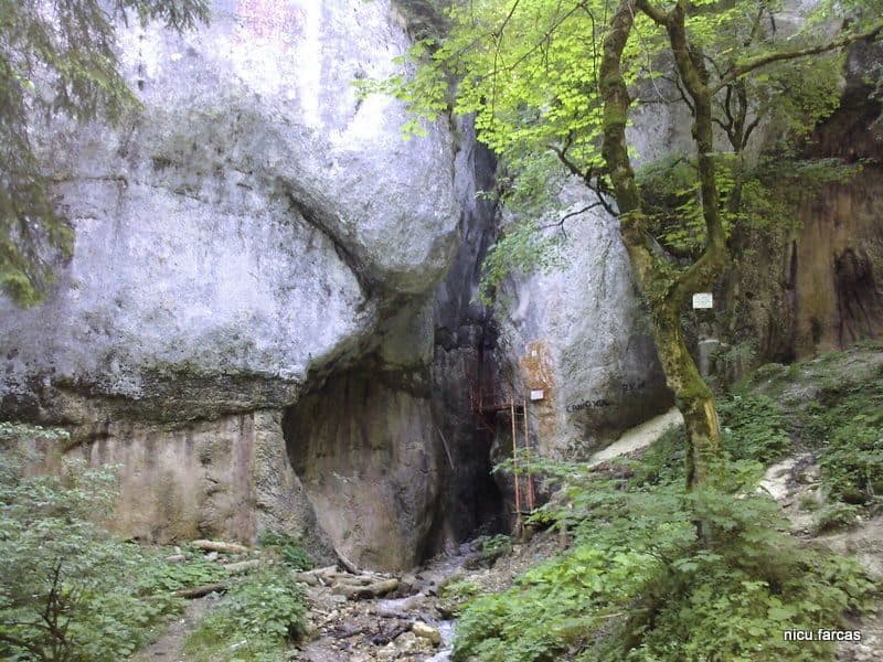 Dâmbul Morii - Canionul 7 Scări - Cabana Piatra Mare