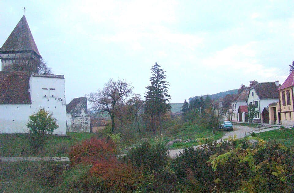 Bușteni - Cabana Padina - Pietroșița
