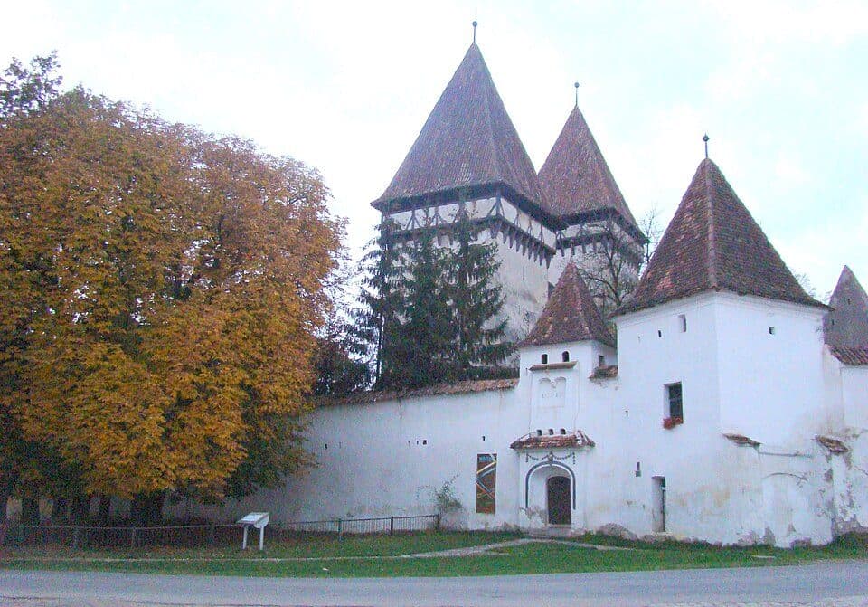 Bușteni - Cabana Padina - Pietroșița