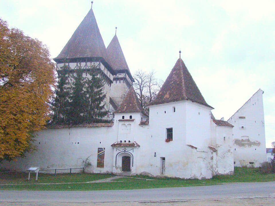 Bușteni - Cabana Padina - Pietroșița