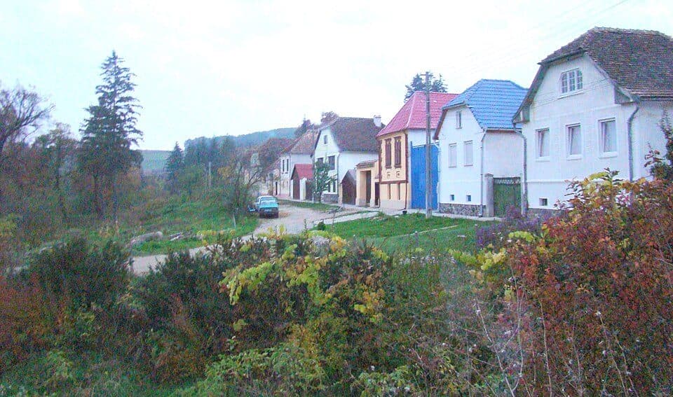 Bușteni - Cabana Padina - Pietroșița
