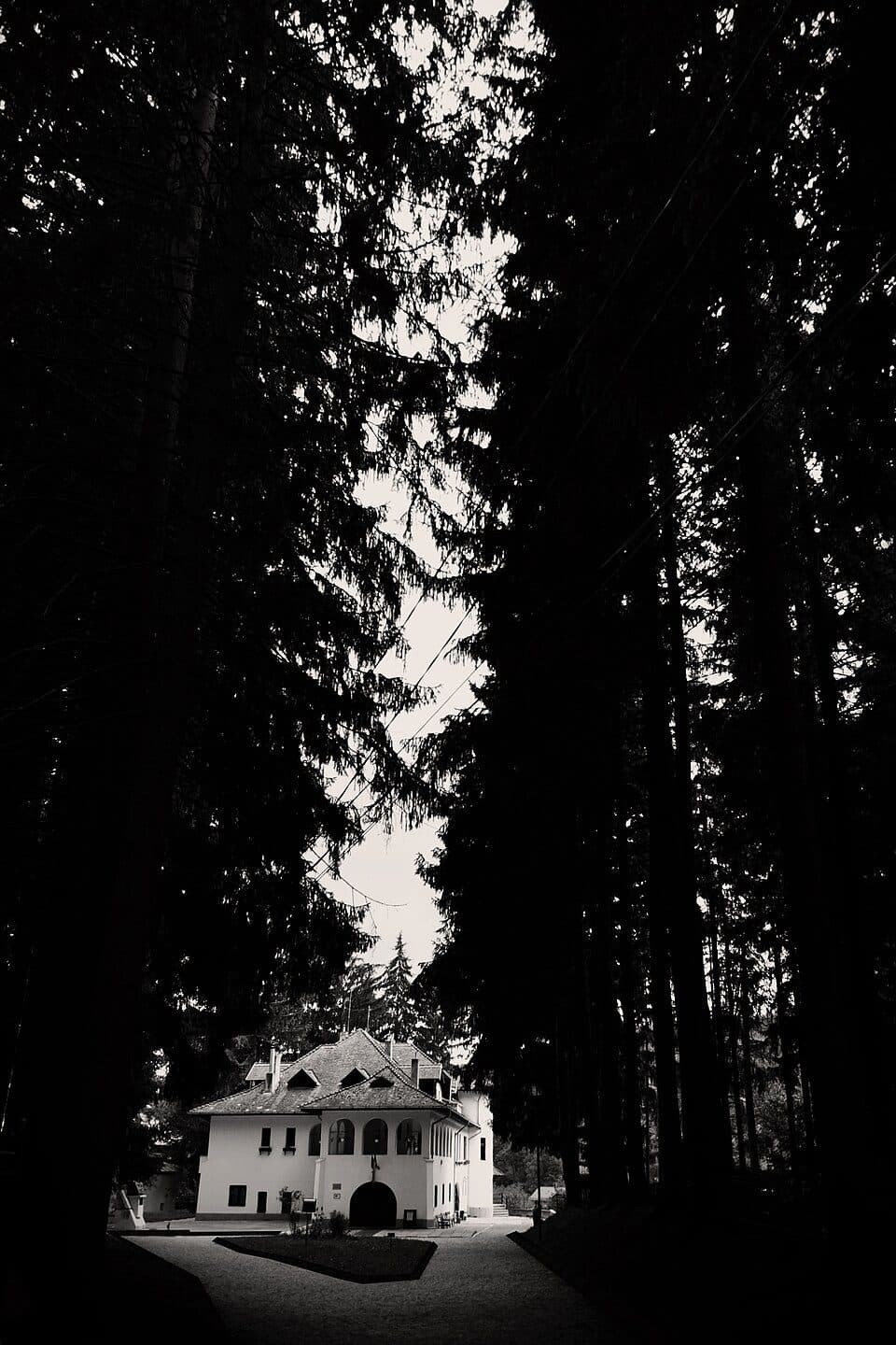 Sinaia - Cabana Omu - Râșnov