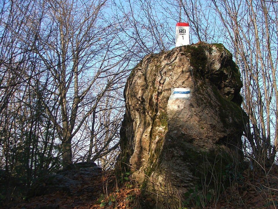 Witkula — zdjęcie 2