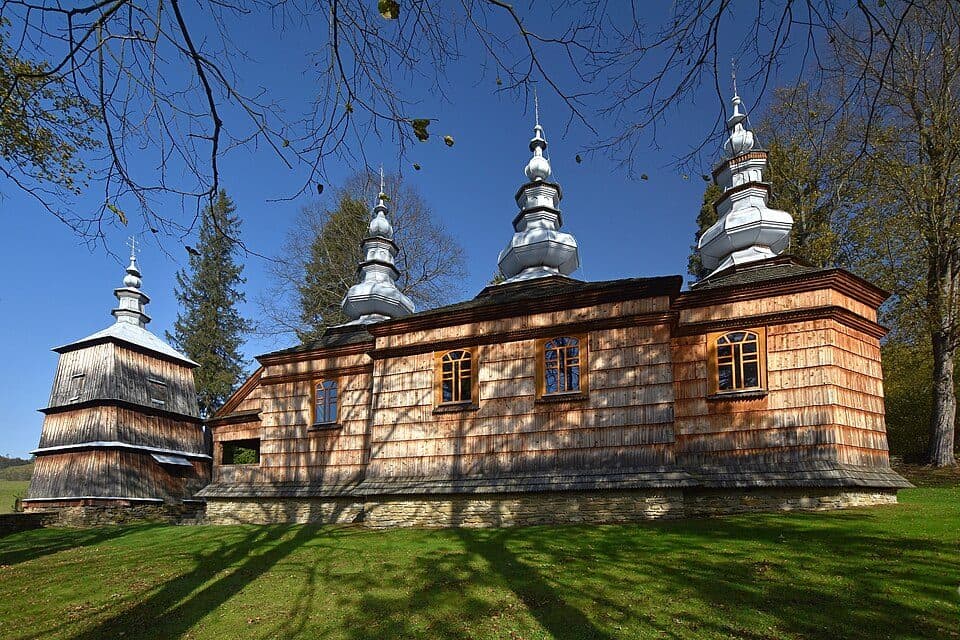 Rzepedź