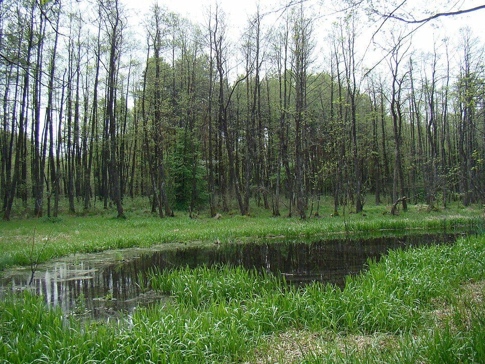 Lacurile Kupán – Vârful Lisnău (Csere)