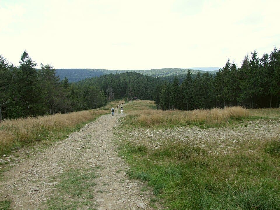 Bukowa (Beskid Sądecki)