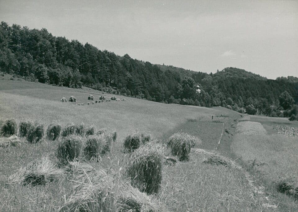 Bykowce - Liszna