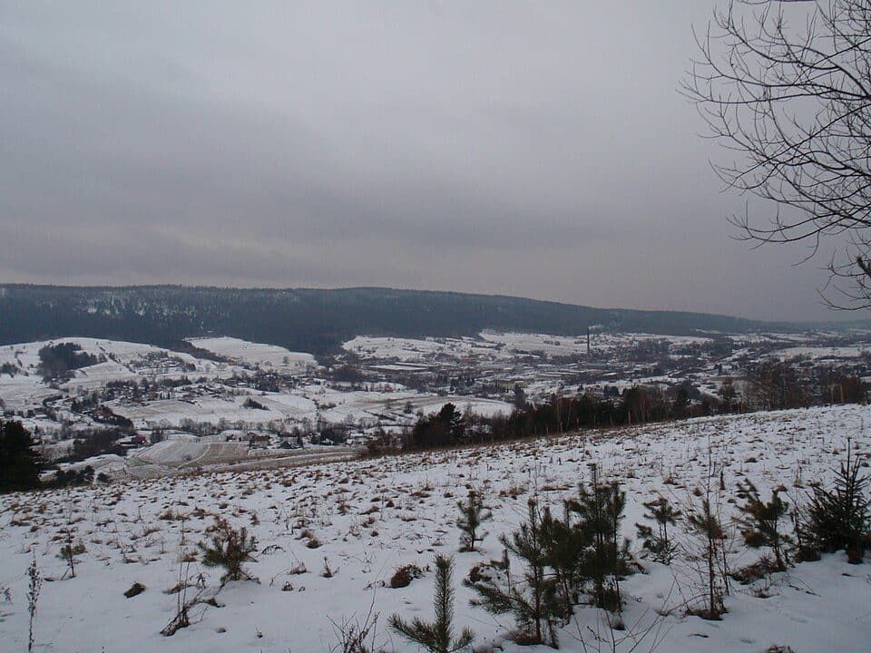 Mały Król - Holica