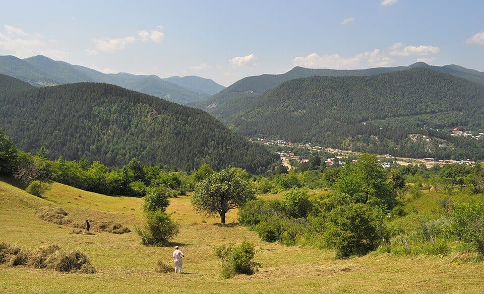 Comuna Tulnici – Stina Haulestenilor – Mt. Coza – Saua Geamana – Dealul Negru – Saua Tisitei – Poiana Sindrilita (red stripe)