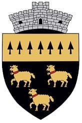 Negrilești (gmina w okręgu Vrancea) — zdjęcie 2