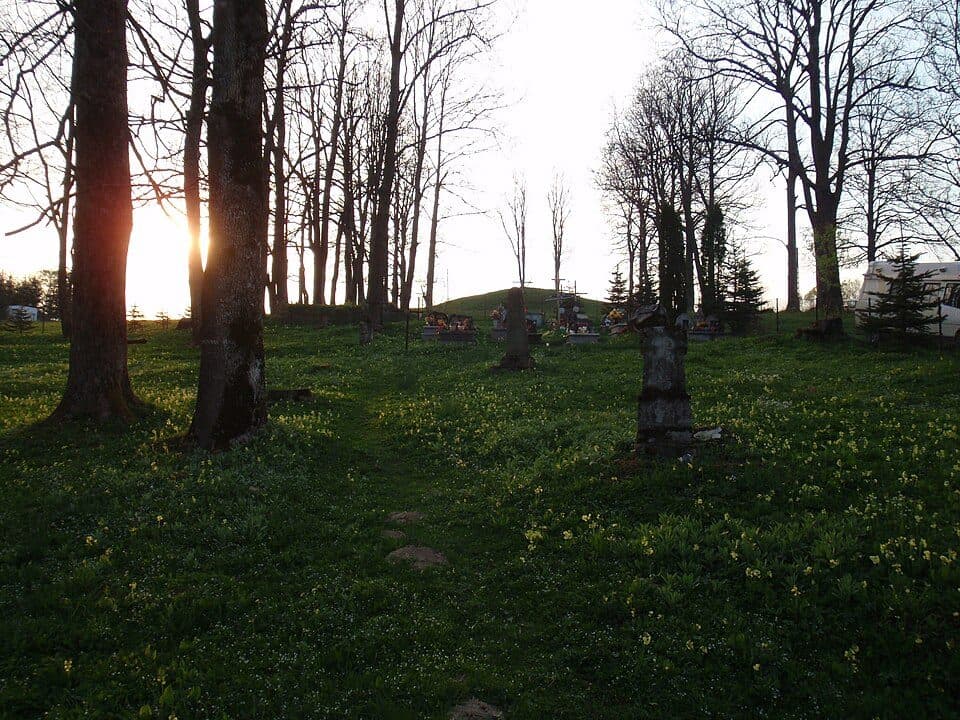 Lutowiska - Chata Socjologa