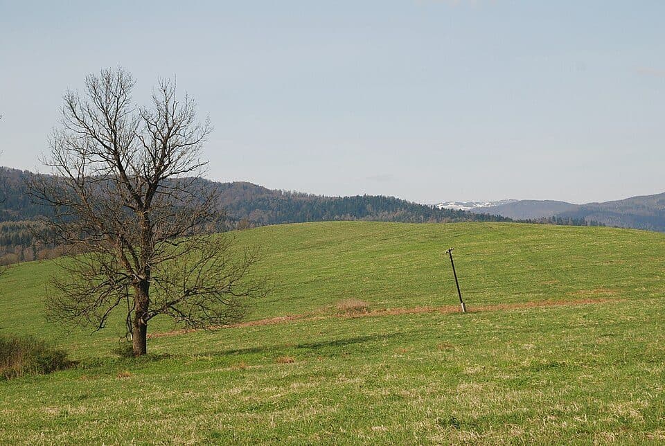 Smolnik (powiat bieszczadzki) — zdjęcie 3