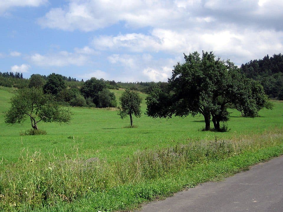 Jamna - Leszczawa Dolna