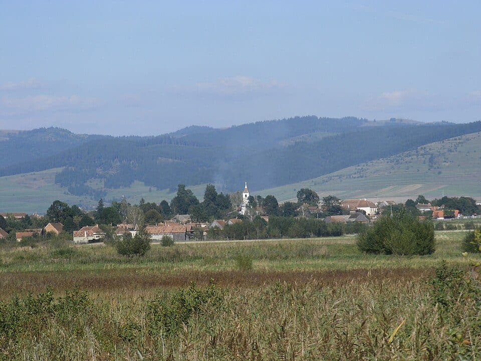 sat Cetățuia - Campul Negru