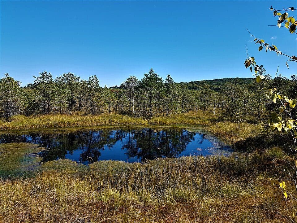 Lacul Sfânta Ana