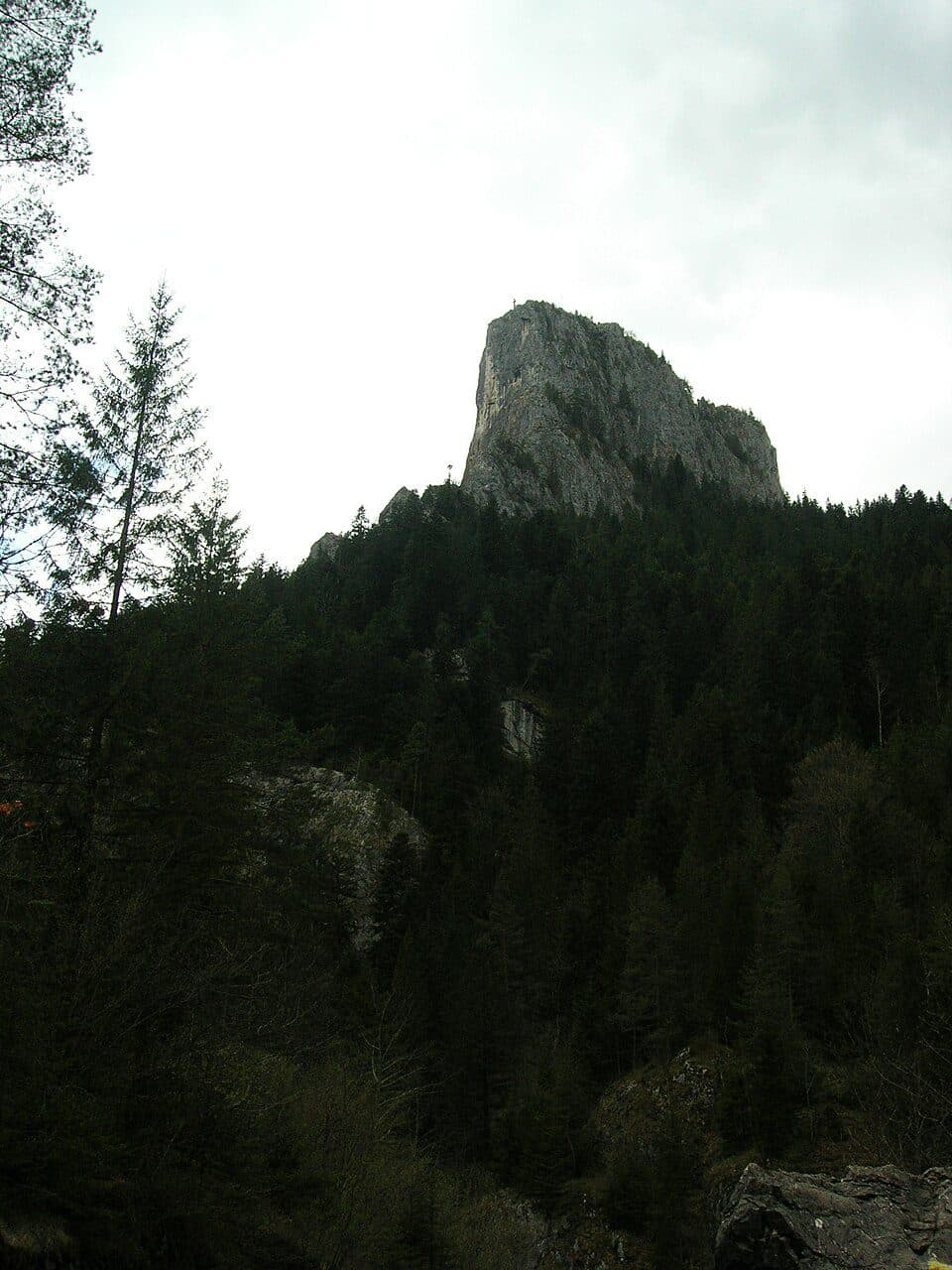Piatra Altarului (Turnu Bardosului) — fotografie 2