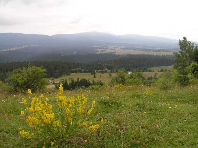 Harghita-Mădăraș