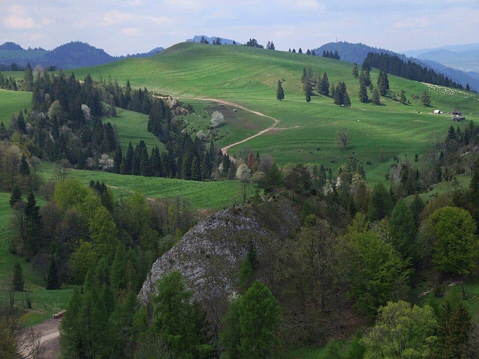 Bereśnik (Pieniny)