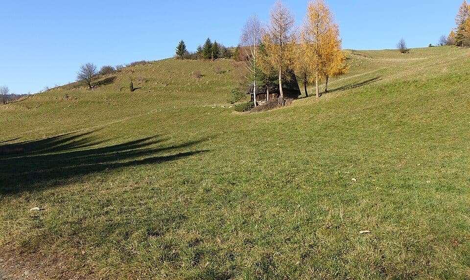 Jaworki – przełęcz Rozdziela
