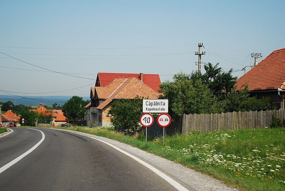 Căpâlnița