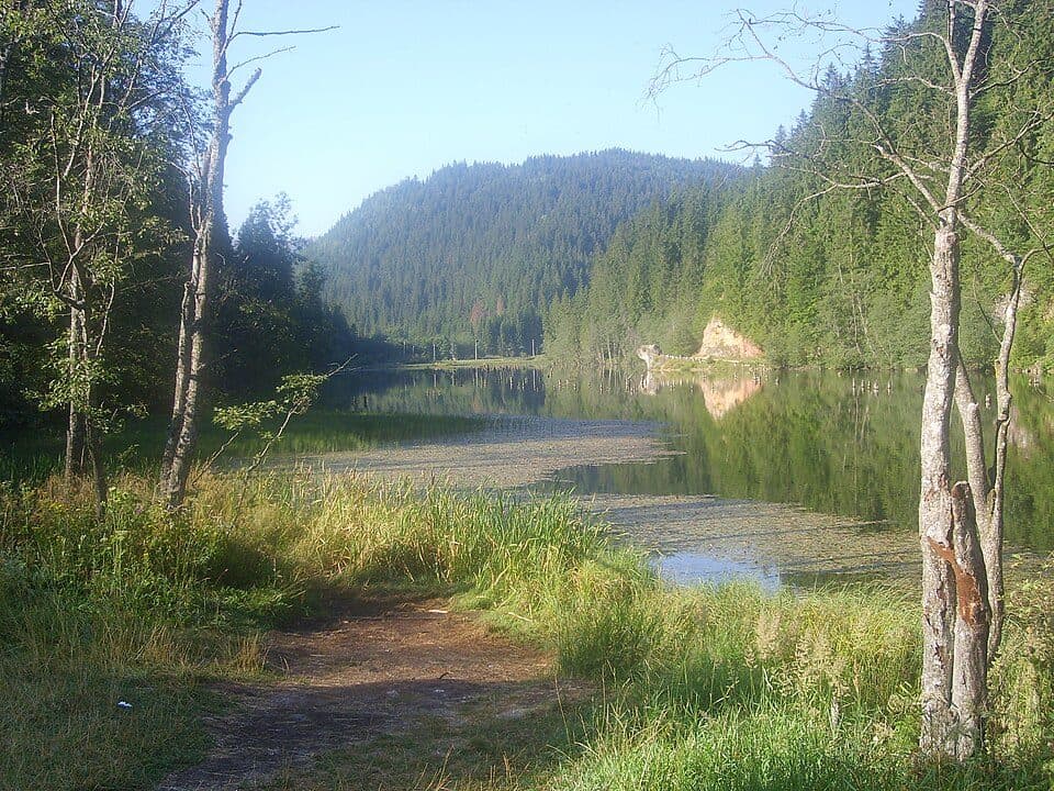 Valea Cupaș - Șaua Niergheș