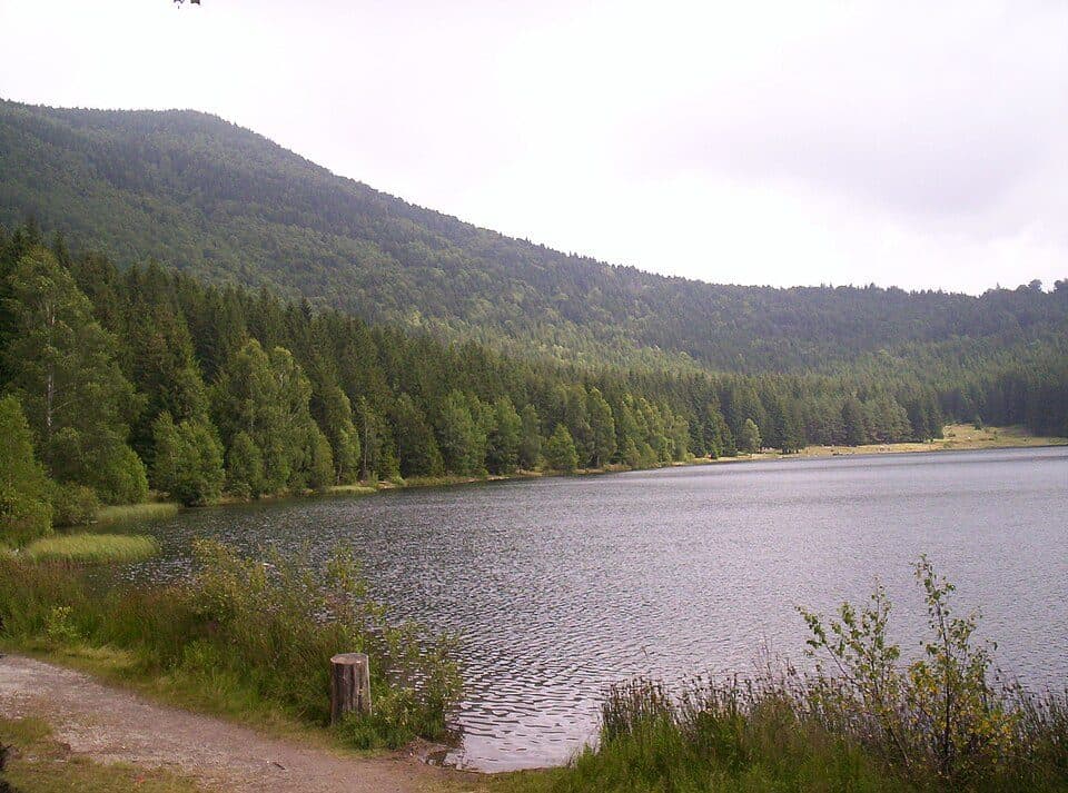 Cabana Ecolog - Piatra Șugăului - Cabana Ecolog