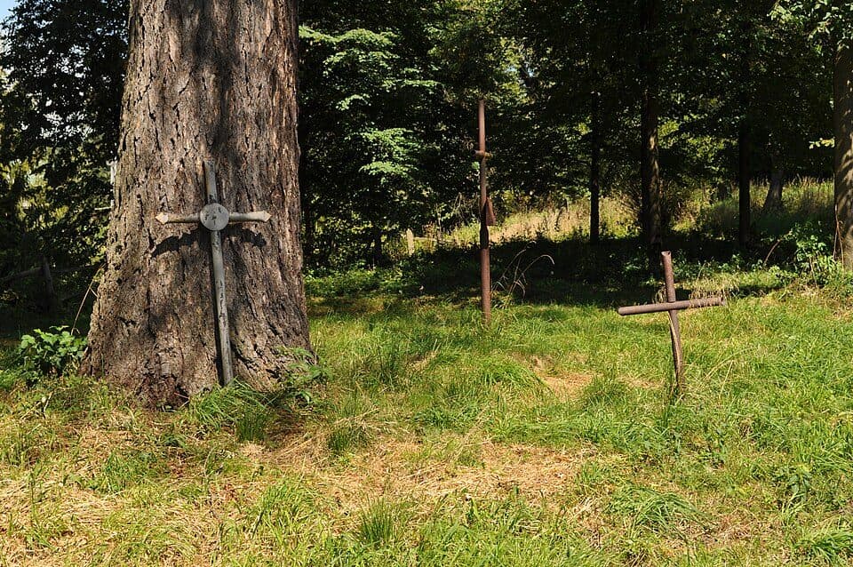 Ścieżka przyrodnicza Siedlisko