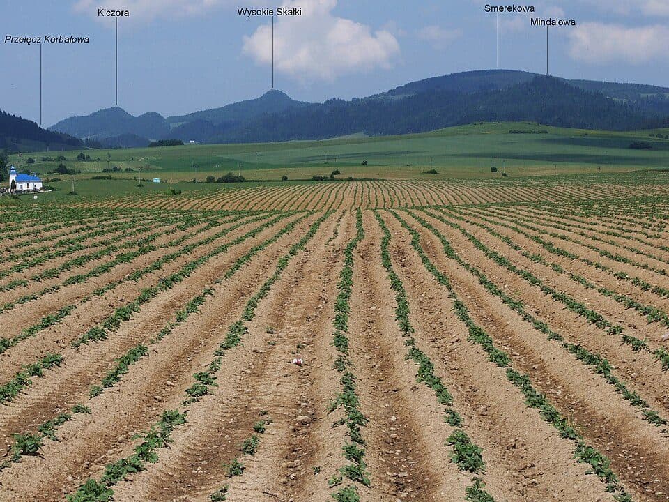 Kyčera (Pieniny)